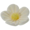 Günthart Edible Small Fine Sugar Flowers in White, Pack of