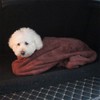 Dog Bath Robe Towel Quick Drying Microfiber Super Absorbent for