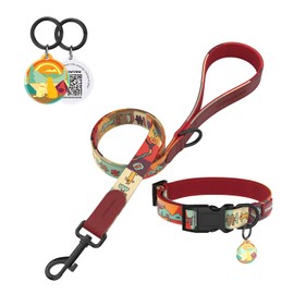 Pawview Puppy Collar and Lead sets with Dog ID Tag – Adjustable (10-17 inch) Comfortable Neoprene Lined Collar for Small Dogs Under 20 lbs