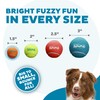 Outward Hound Squeaker Ballz – Squeaky Tiny Tennis Balls for
