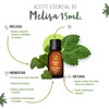 OLEUM VITAE. Aceite Esencial de Melisa. Melissa Officinalis. 100% Puro