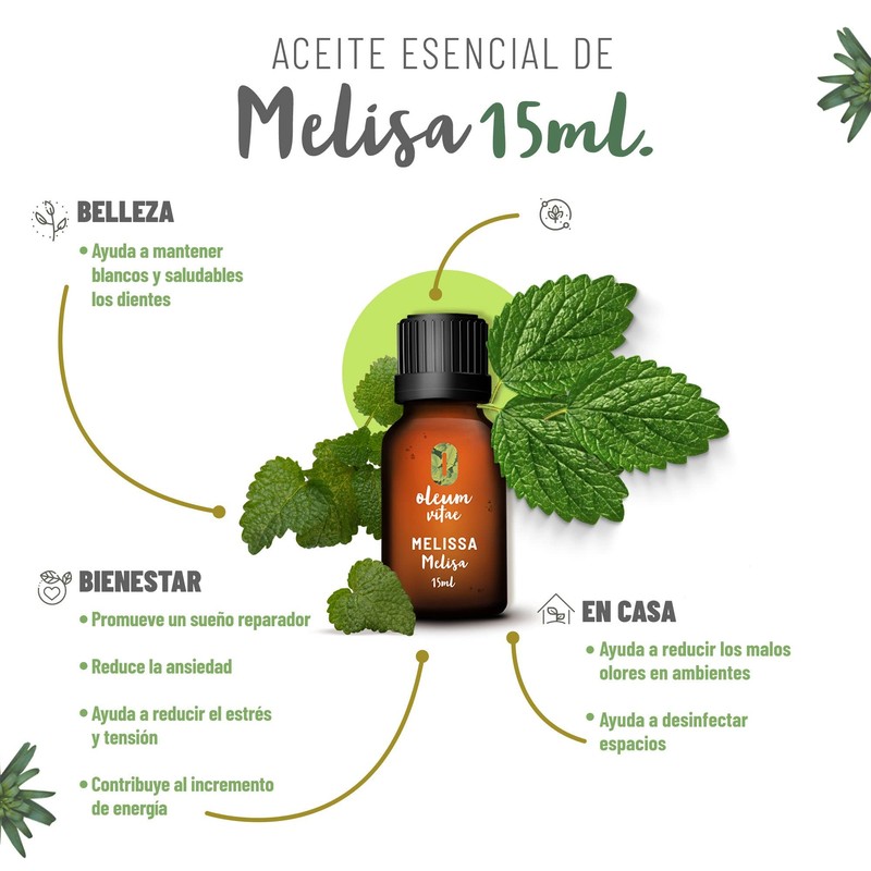 OLEUM VITAE. Aceite Esencial de Melisa. Melissa Officinalis. 100% Puro
