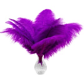 Piokio 20 pcs Natural Purple Ostrich Feathers 12-14 inch(30-35 cm) Bulk for Wedding Party Centerpieces, and DIY Clothes Decoration, Gatsby Decorations
