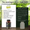 Yarrow Organic 150 Capsules - Achillea Millefolium - 100% Vegan