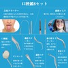 Watles 歯石除去キット 歯石取り スケーラー 歯石取り器具 歯用ツール [一般医療機器]