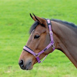 Cottage Craft Horse Headcollar - Padded Head Collar for Horses - Purple - PONY