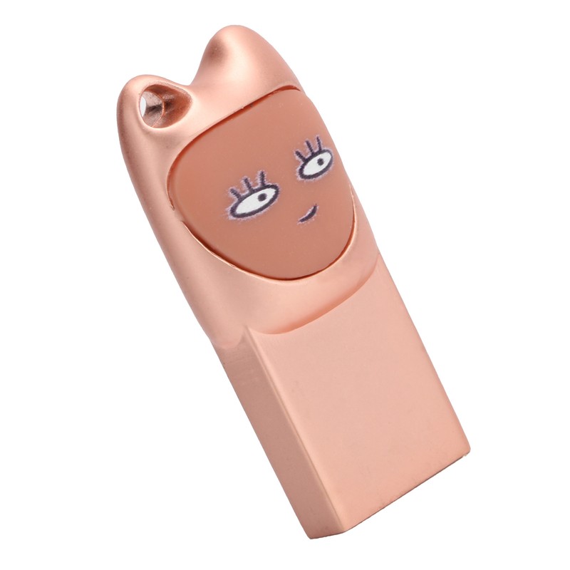 Flash Disk USB2.0 Interface Plugin Free Drive Cartoon U Disk