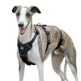 Paworld Dog Safety Harness, Anti-Pull Dog Harness, Panic Harness for Dogs, Escape Proof Harness, Adjustable, Breathable Vest for Small, Medium and Large Dogs (Black, S)