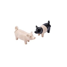 CGB Giftware | Pig Salt and Pepper Shakers | Farm | Kitchen Table Top Accessory | Gift Box | Gift for Home | Loft Range | GB06781