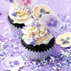 Sprinkle Pop Perfectly Purple Sprinkle Mix| Monochromatic Mix of Rich