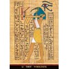 Egyptian Gods Oracle Cards: 36 full col cards & instructions
