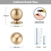 Ravinte Decor 12 Pack Champagne Bronze Cabinet Knobs, Round Dresser