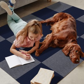 Peel & Stick Carpet Tiles 12x12 Inch - Premium Self-Adhesive Floor Squares with Soft Padding - 20 Tiles/20 Sq Ft per Box (Easy Installation, Removable Carpeting for Home & Office)