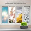 Click & Grow Indoor Herb Garden Kit with Grow Light