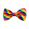 BOLAND BV Boland Bow Tie Pride Rainbow Colour Fancy Dress