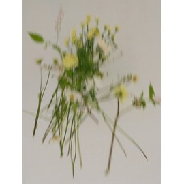 Car perfume sachet air freshener / 차량용 퍼퓸 샤쉐 방향제