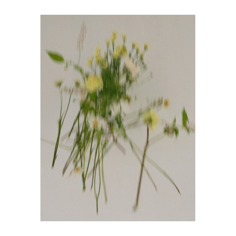 Car perfume sachet air freshener / 차량용 퍼퓸 샤쉐 방향제