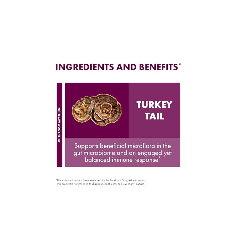 Fungi Perfecti - Host Defense Turkey Tail Cellular Support 60