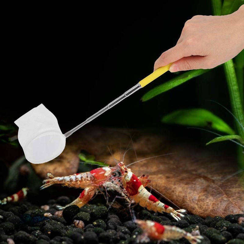Small Aquarium Fish Net, Telescopic Pole Fish Shrimp Catch Skimming
