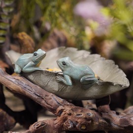 Bird-Feeder Wild Bird-Bath Bowl Outdoors - Garden Decor Polyresin Frogs on Leaf Bird Bath for Yard 12 x 7.25 x 3.5 inch-Newman House Studio