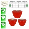 Just Pudding Basins 3 Larger Bowl Sizes and Lids in