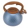 3 Liter Whistling Tea Kettle Stainless Steel Teapot with Handle