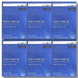 에스더포뮬러 [보리담다] 에스더포뮬러 여에스더 엠에스엠 60정 6박스