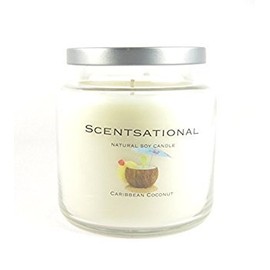 Scentsational Soaps & Candles Natural Soy Candle Caribbean Coconut