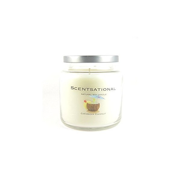 Scentsational Soaps & Candles Natural Soy Candle Caribbean Coconut