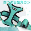 Rabbitgoo Cat Harness and Leash Set, Suitable for Both Cats
