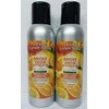 Smoke Odor Exterminator Orange Lemon Splash 7 oz Large Spray