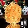 Dailyart Fairy Lights Plug in, 500 Led Fairy Lights with