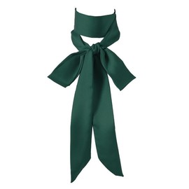 Long Thin Skinny Scarf Satin Neckerchief Ribbon Tie Waist Belt for Women (Dark green)