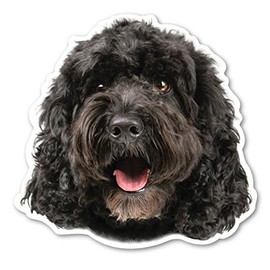 Magnet America (Black) Cockapoo Dog Magnet is 4.73" x 4.9" Made for Vehicles and Refrigerators