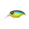 SR-X GRIFFON Megabass Bream