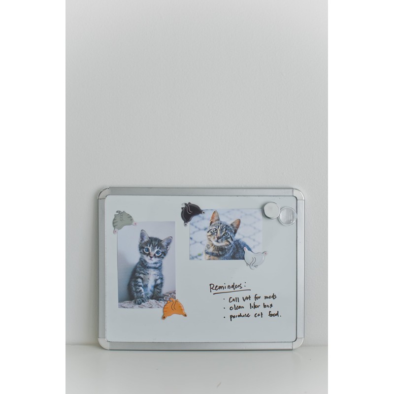 Pearhead Cat Bum Kitchen Magnets, Set of 4, Pet Themed