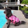 CITÉTOILE Dog Life Jacket Shark, Life Jacket for Small, Medium