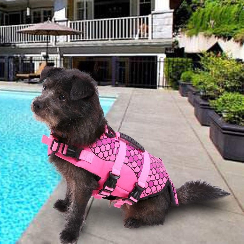 CITÉTOILE Dog Life Jacket Shark, Life Jacket for Small, Medium