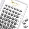 QUEWEL Individual Eyelashes, Individual Eyelash Clusters, Lashes, Natural, D Curl,
