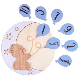 Bear Wooden Monthly Baby Milestone Cards, Baby Monthly Milestone Wood Discs, Baby Months Signs, Baby Milestone Discs, Interchangeable Milestone Cards, Baby Photo Props