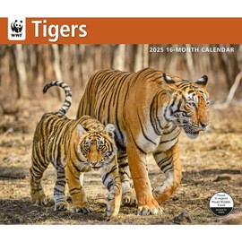 Calendar Ink, Tigers WWF 2025 Wall Calendar