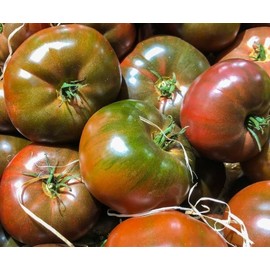 BLACK KRIM TOMATO SEEDS 100+ indeterminate RUSSIAN VEGETABLE garden FREE US SHIP