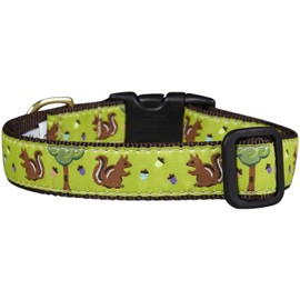 Up Country Nuts Pattern Dog Collar, Medium (12 To 18 Inches) 1 Inch Wide Width