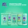 Wet Ones for Pets Hypoallergenic Multipurpose Dog Wipes with Vitamins