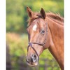 Shires Blenheim Mexican Noseband Full Havana