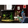 Spox Sox Casual Unisex Socks, Multi-Coloured, Colourful Socks for Free