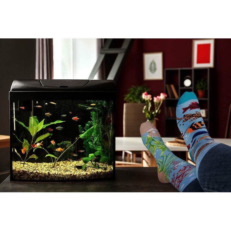 Spox Sox Casual Unisex Socks, Multi-Coloured, Colourful Socks for Free