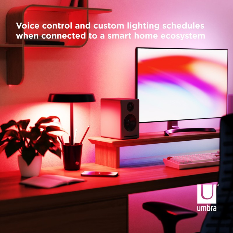 Umbra Cup LAMP Black