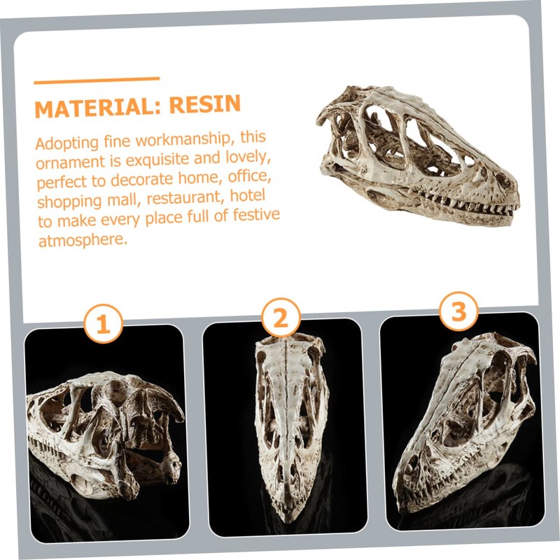 VILLFUL Unique Dinosaur Skull Model Skull Specimen Attractive Design for