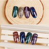 Magnet Nail Art Polish Tool Set, Cat Eye Gel Polish